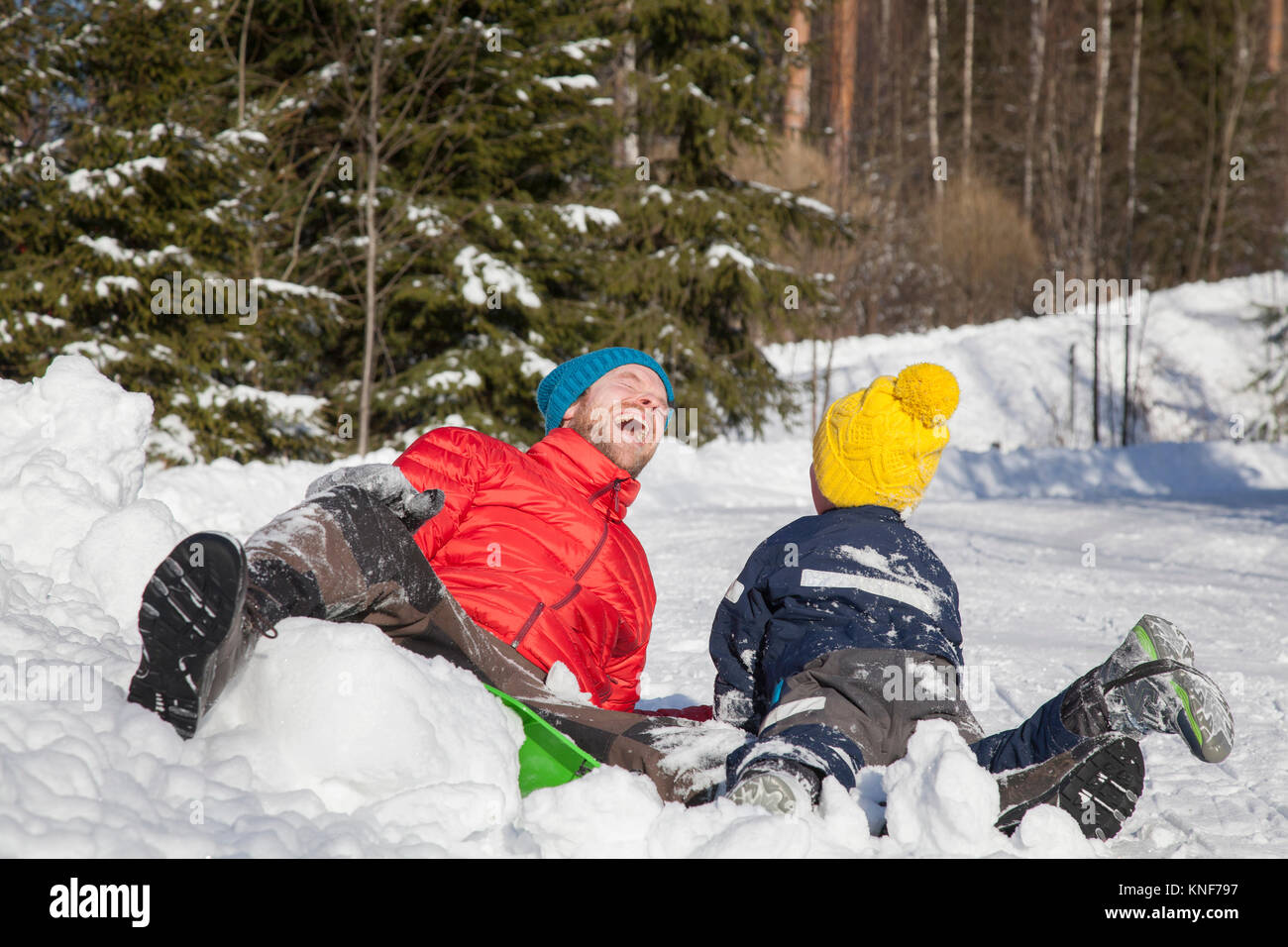 Man and son laughing after falling from toboggan in snow covered landscape Stock Photo
