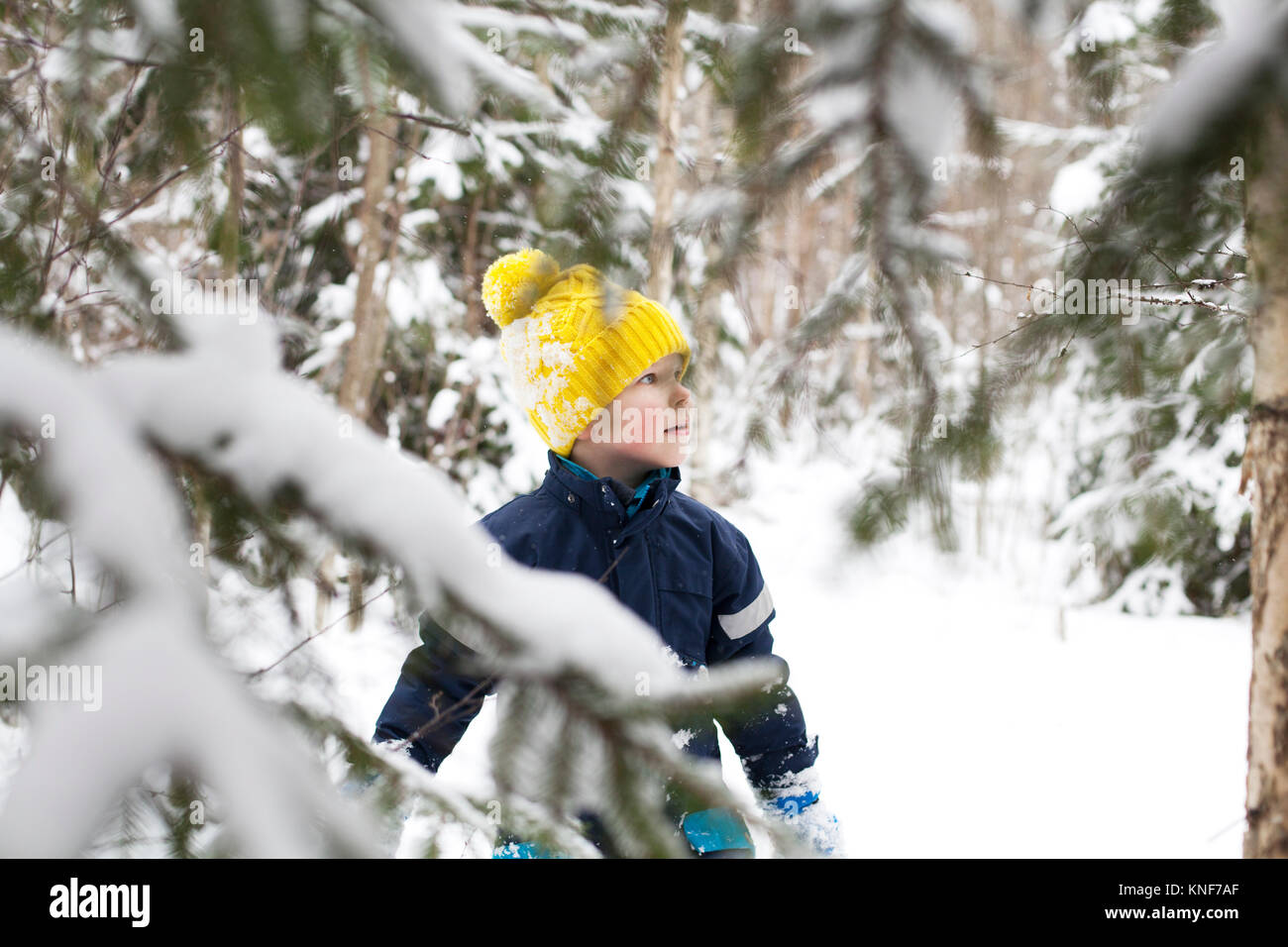 Boy in yellow knit hat gazing in snow covered forest Stock Photo