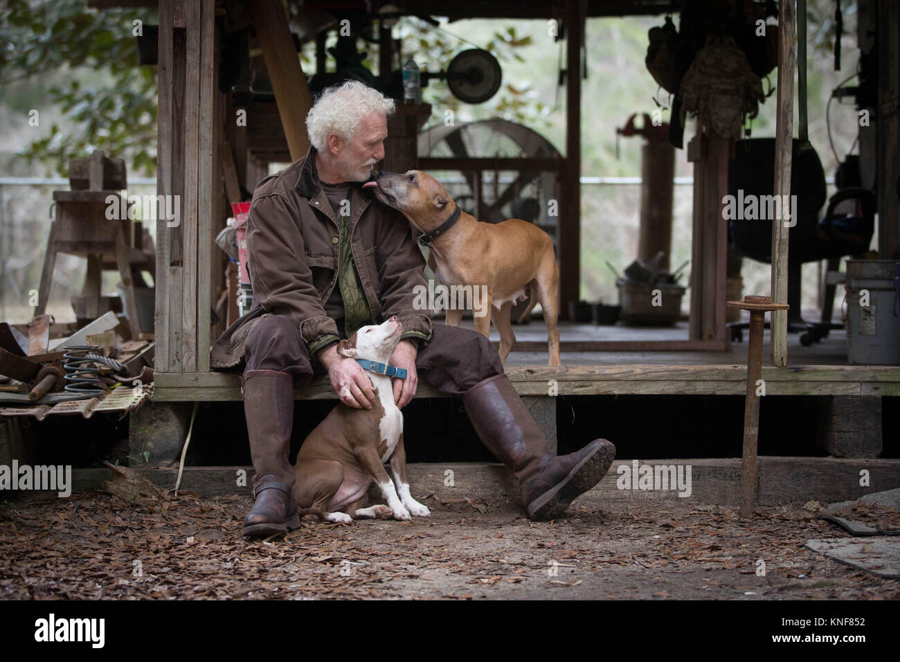Man with pet dogs by wooden work hut Stock Photo
