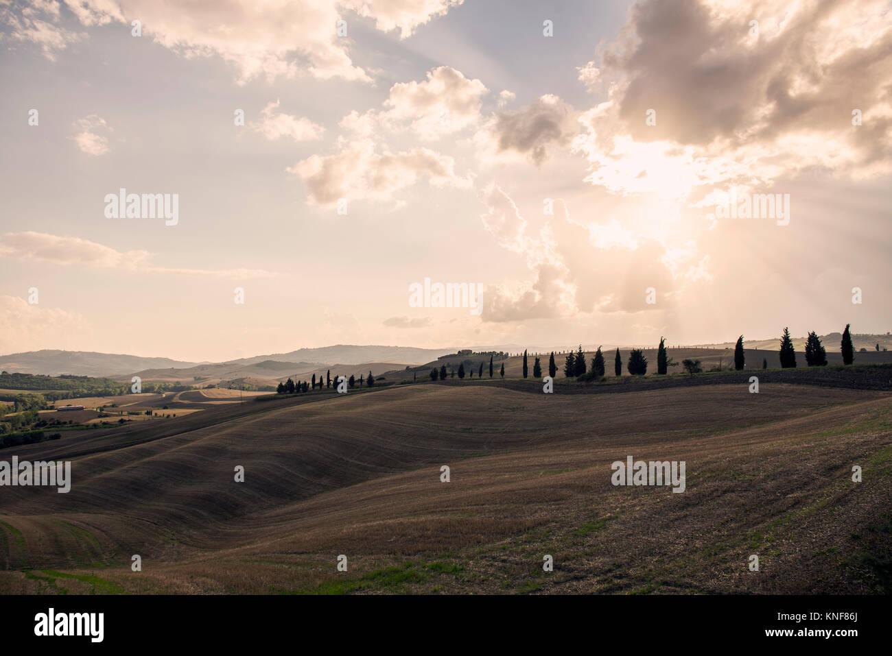 Day Out In Siena High Resolution Stock Photography and Images - Alamy