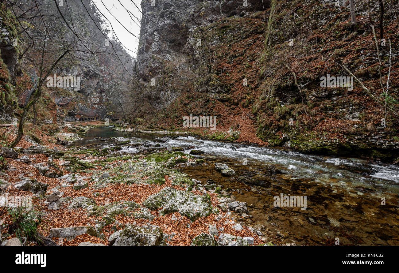 Soteska Vintgar, The Vintgar Gorge or Bled Gorge in Slovenia. Famous canyon with river Radovna, waterfalls and wooden bridges pathway. Touristic landm Stock Photo