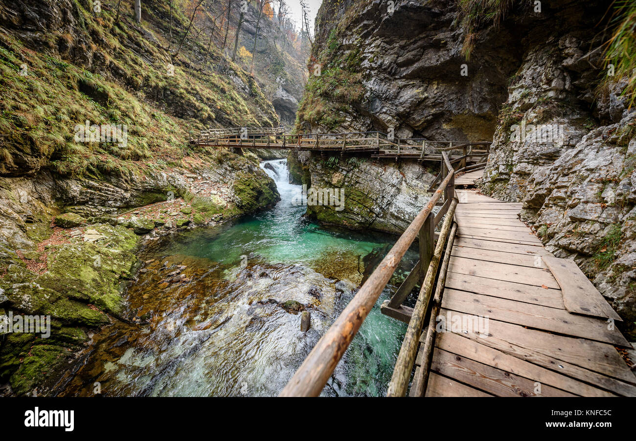 Soteska Vintgar, The Vintgar Gorge or Bled Gorge in Slovenia. Famous canyon with river Radovna, waterfalls and wooden bridges pathway. Touristic landm Stock Photo