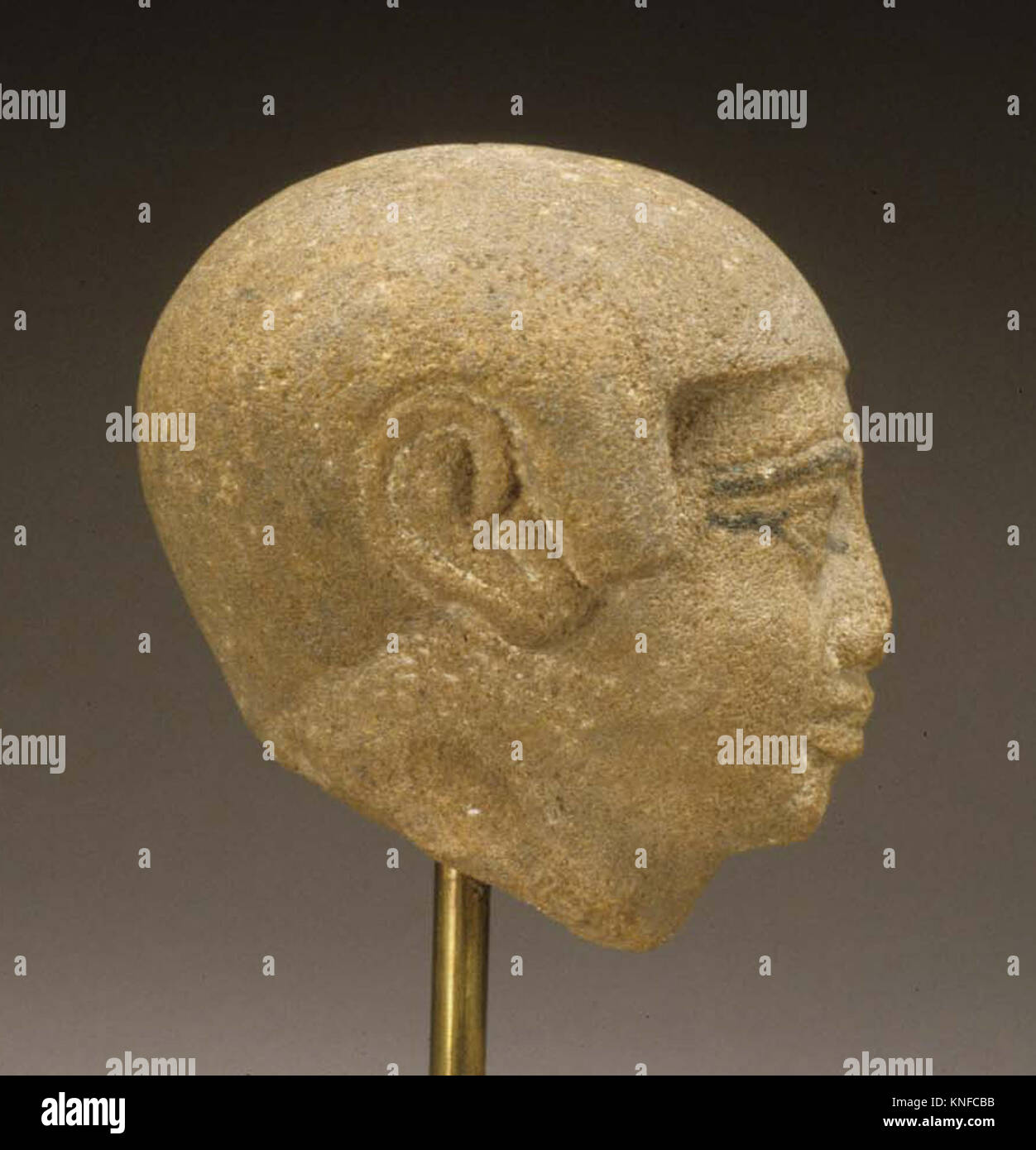 This male statue head depicts Roman or Greek classical features ...