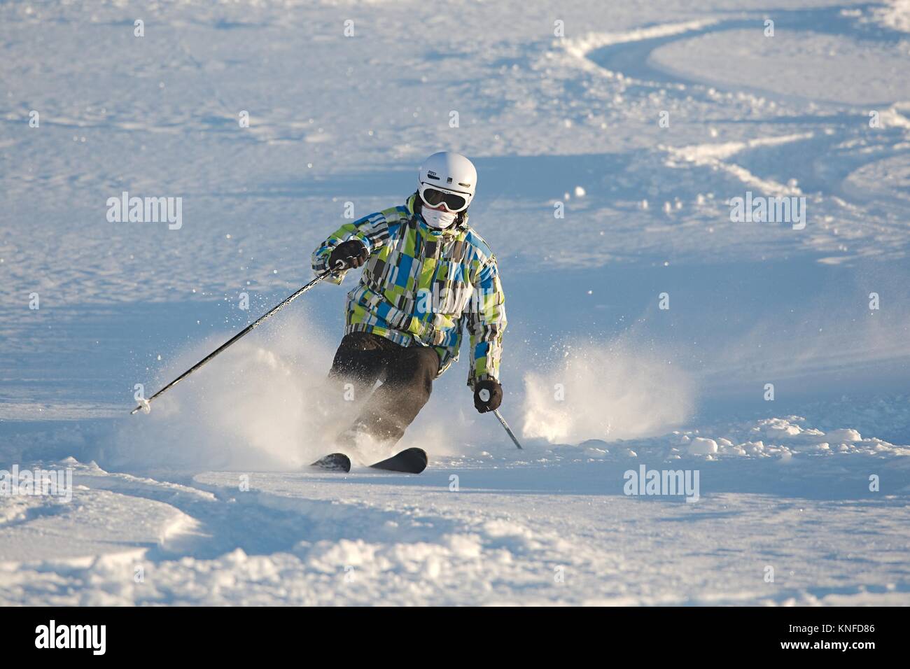 Skiing in fresh powder snow Stock Photo Alamy