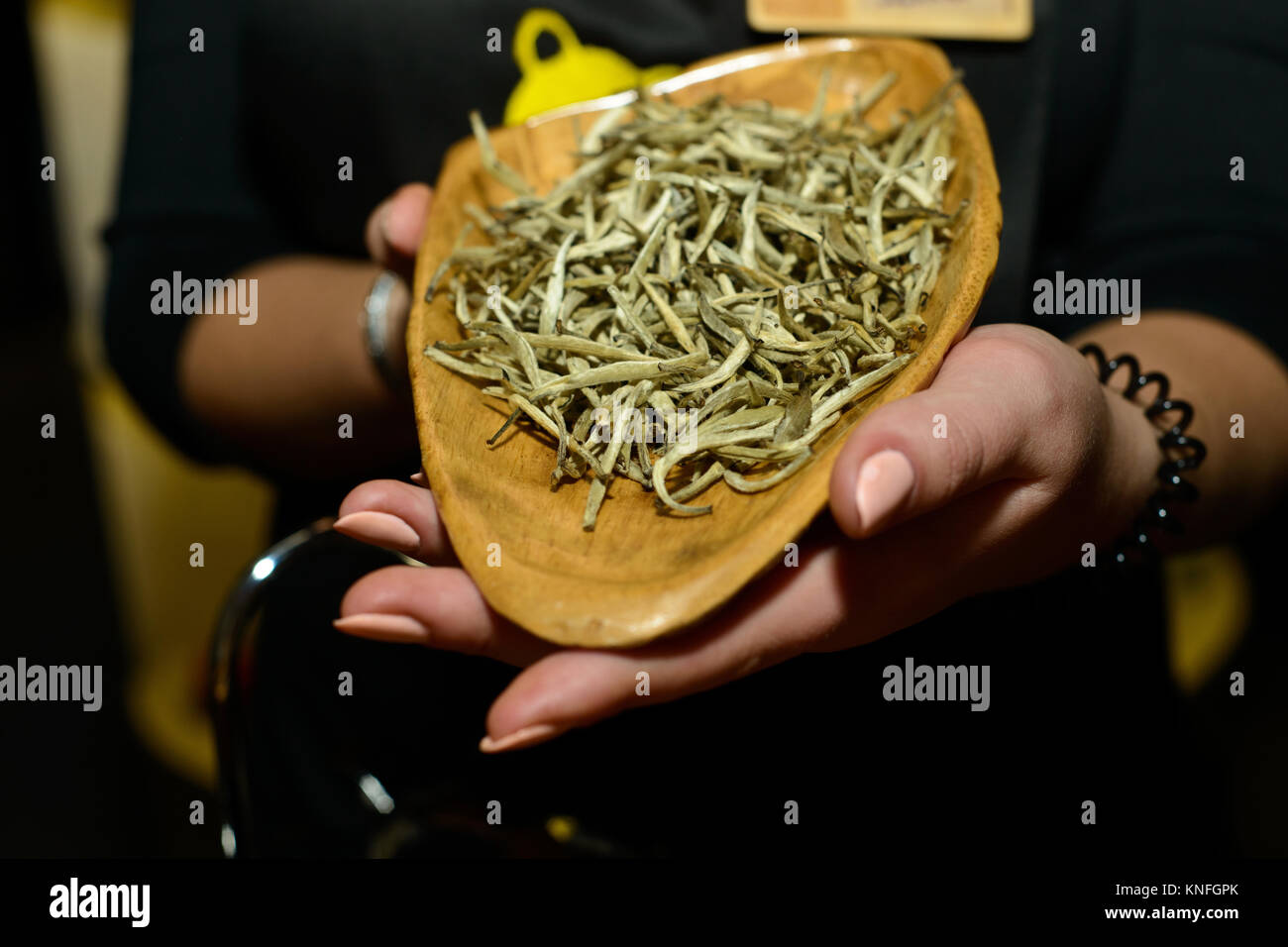 White Chinese tea "Silver Needle whitehaired" Elite tea is produced