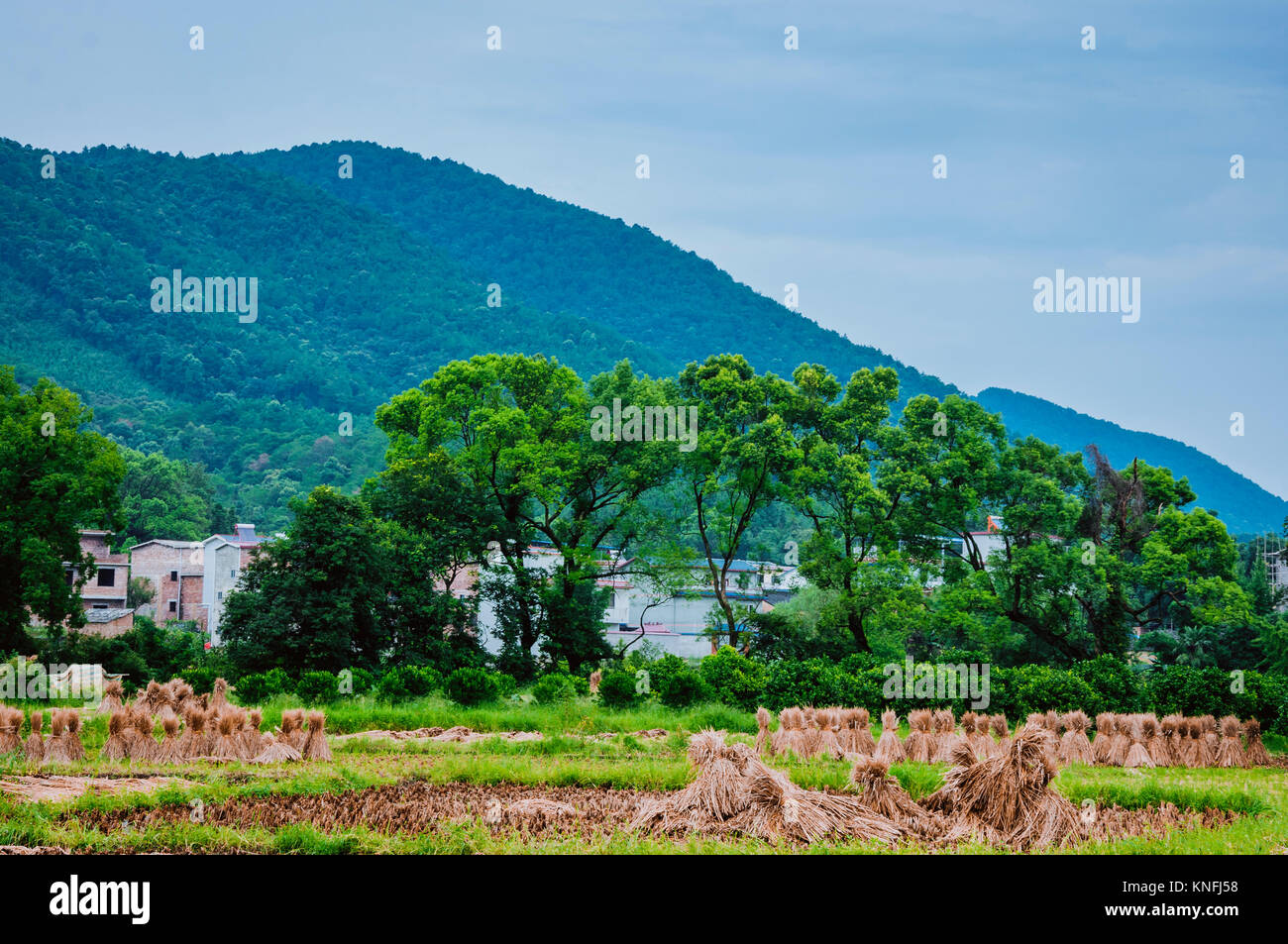 Natural rural countryside hi-res stock photography and images - Alamy