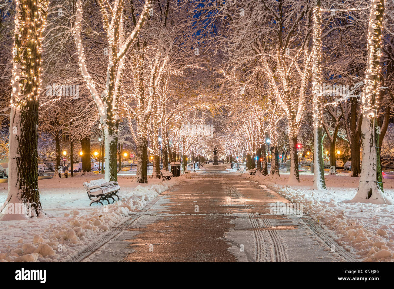 Boston Christmas Decoration Stock Photo Alamy