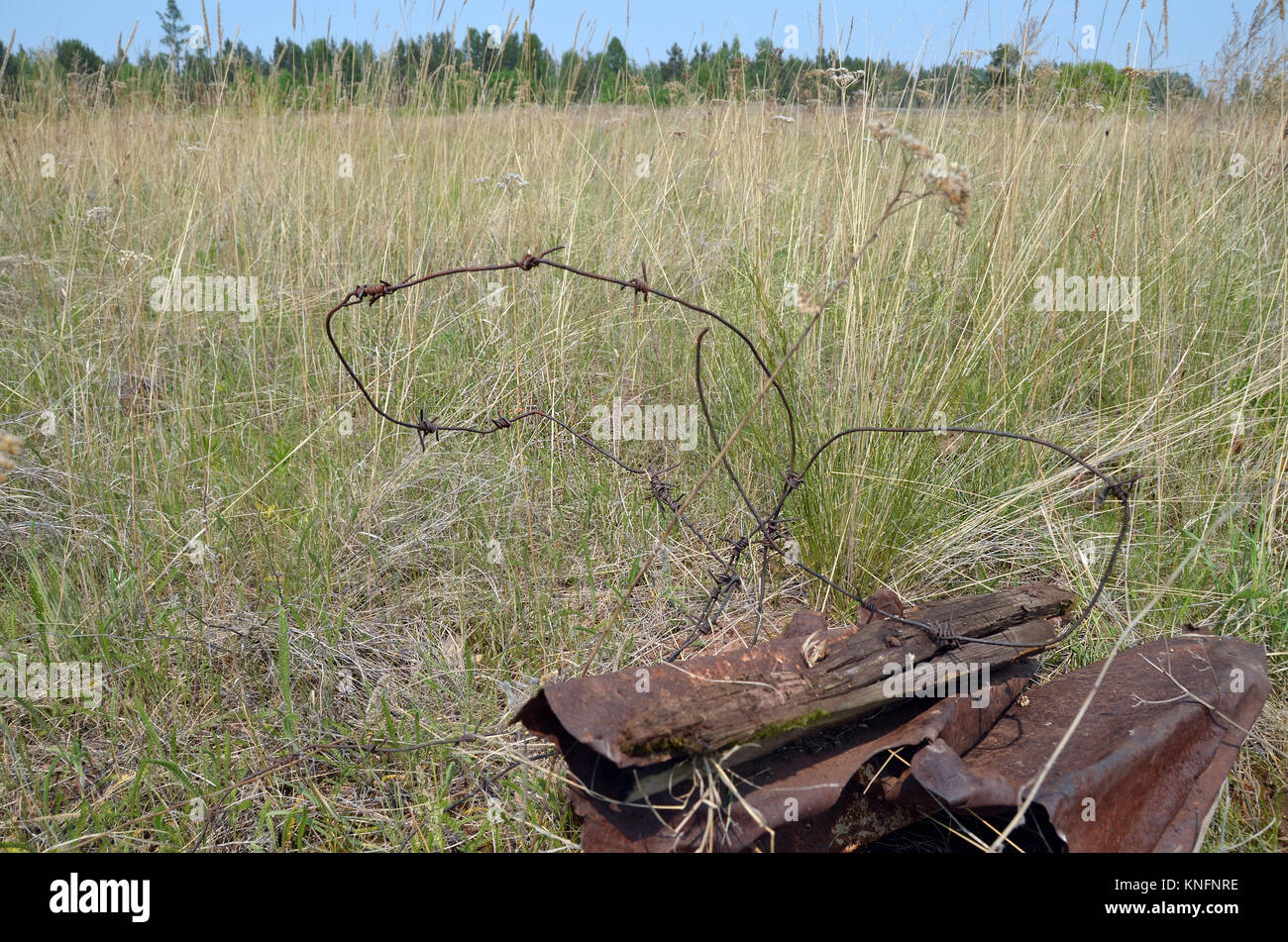 In Siberia, between Bratsk and Vikhorevka at Km276, the remains of one ...