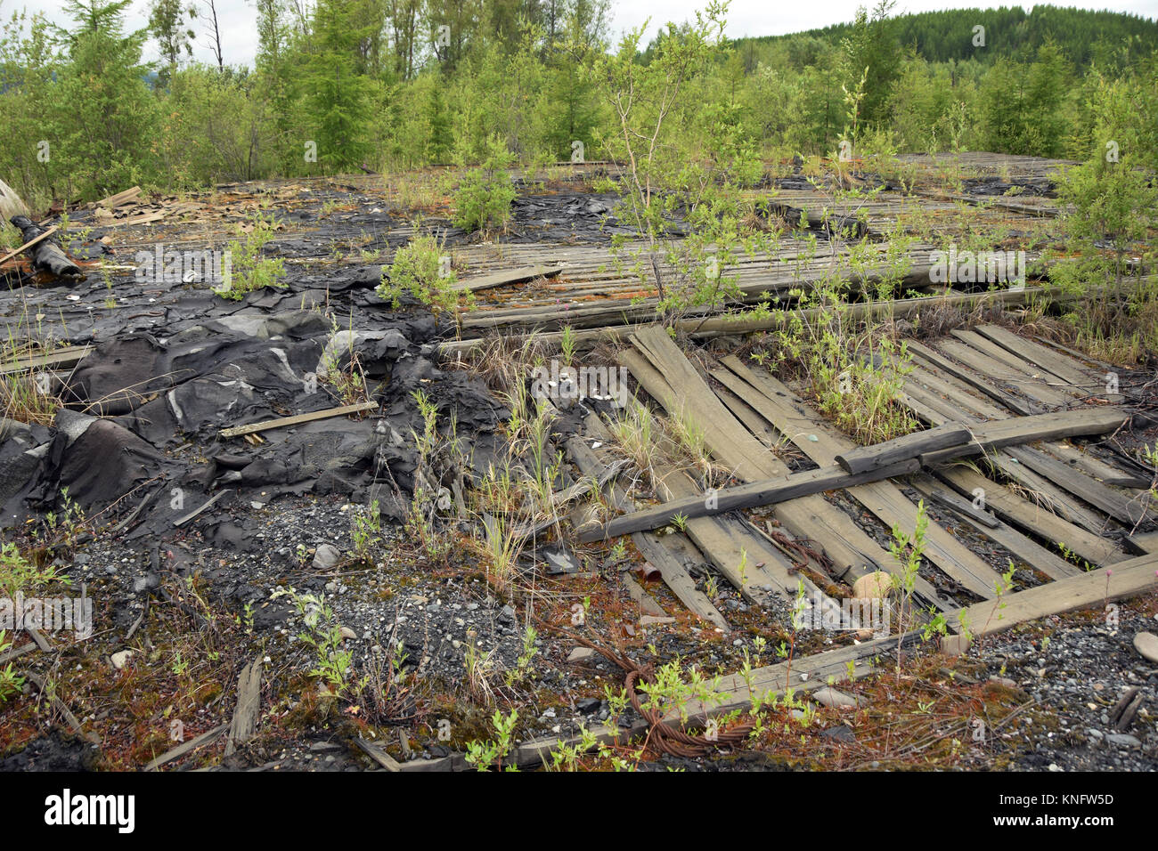 The former Kadyktchan gulag camp , in the northern part of Kolyma, Siberia. Here is what  remains of a barrack surrounded by taiga. Stock Photo