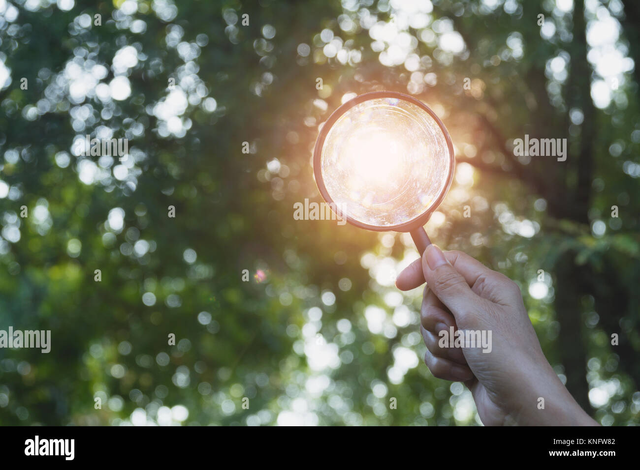 Close-up man holding magnifying glass for looking at the light of sun on  nature background Stock Photo - Alamy