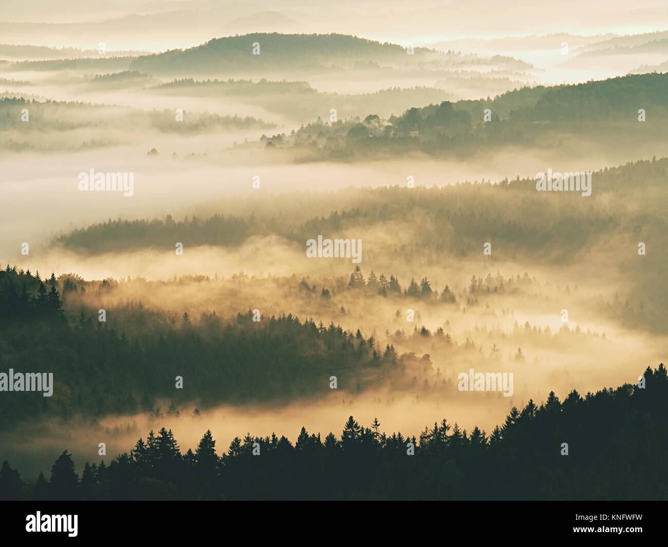 Autumn sunrise. Deep forest in a beautiful hilly landscape within inversion weather. Treetops  increased from foggy background. Vivid effect. Stock Photo