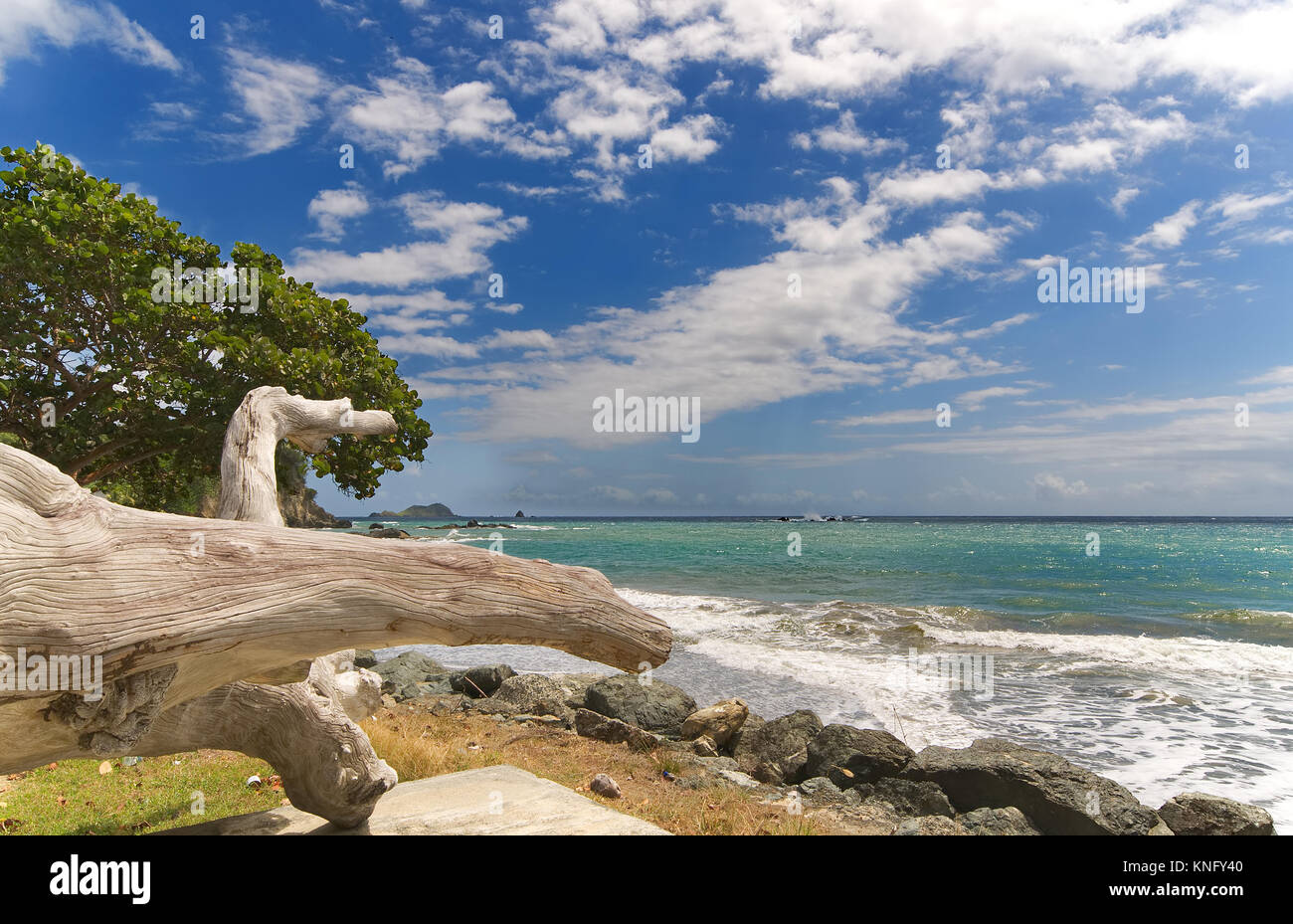 Roxborough tropical beach and sea Tobago tropical island Stock Photo