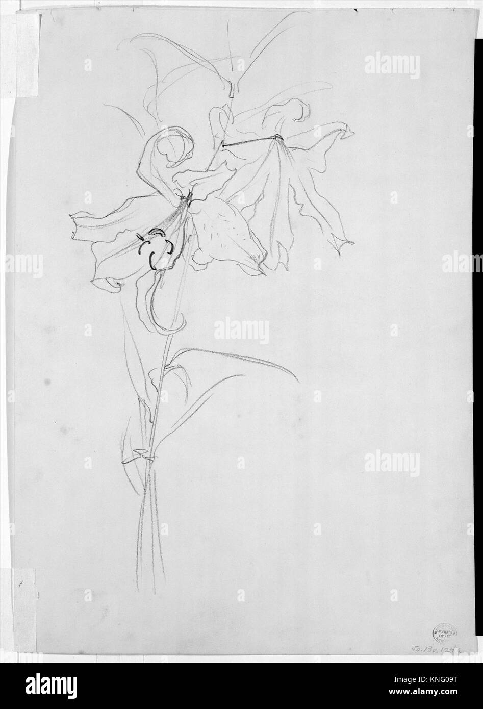 Lily, Study for Carnation, Lily, Lily, Rose. Artist John Singer