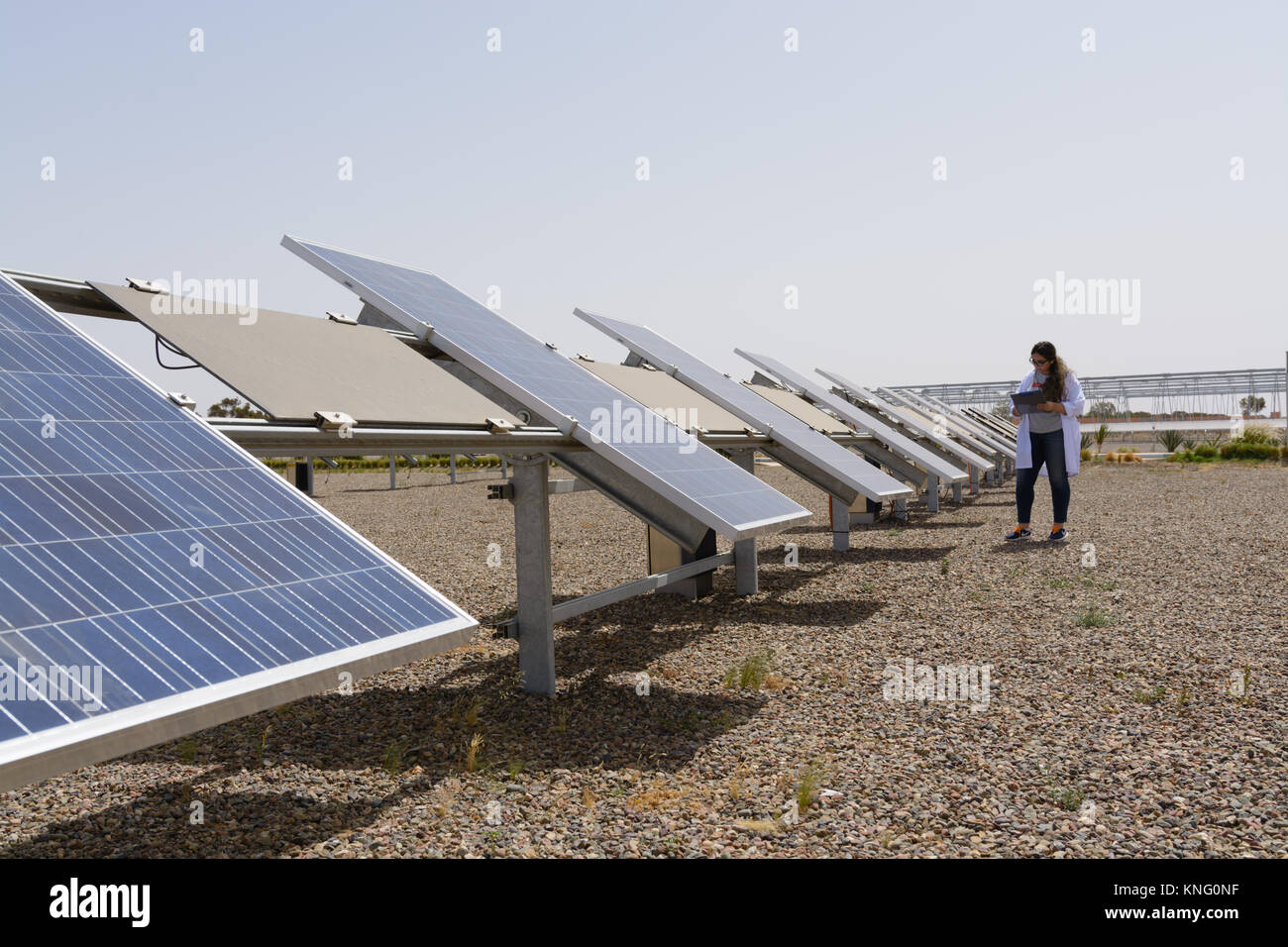 A researcher monitors a solar power plant in a laboratory in Morocco Stock Photo