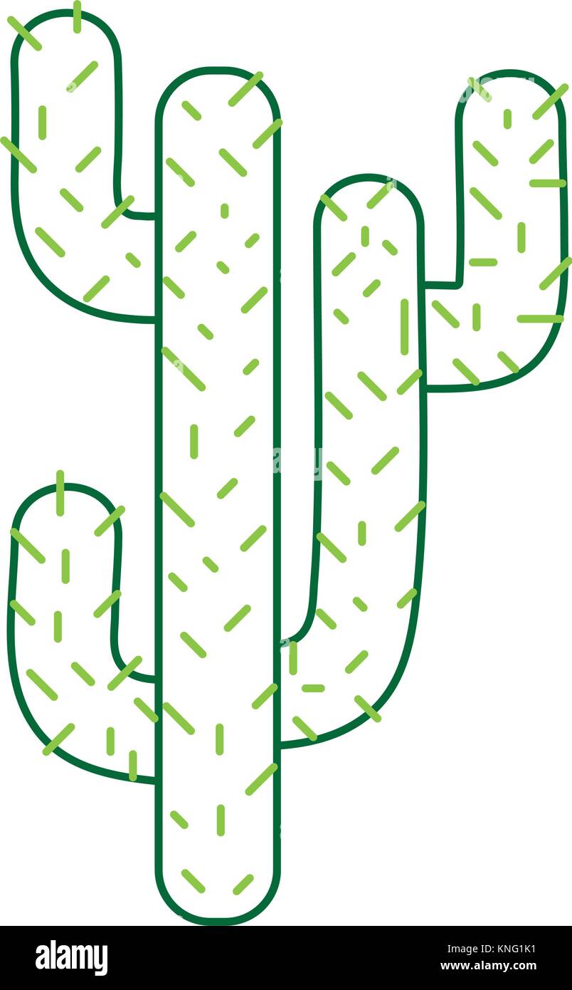 color line natural cactus summer plant desert Stock Vector Image & Art ...