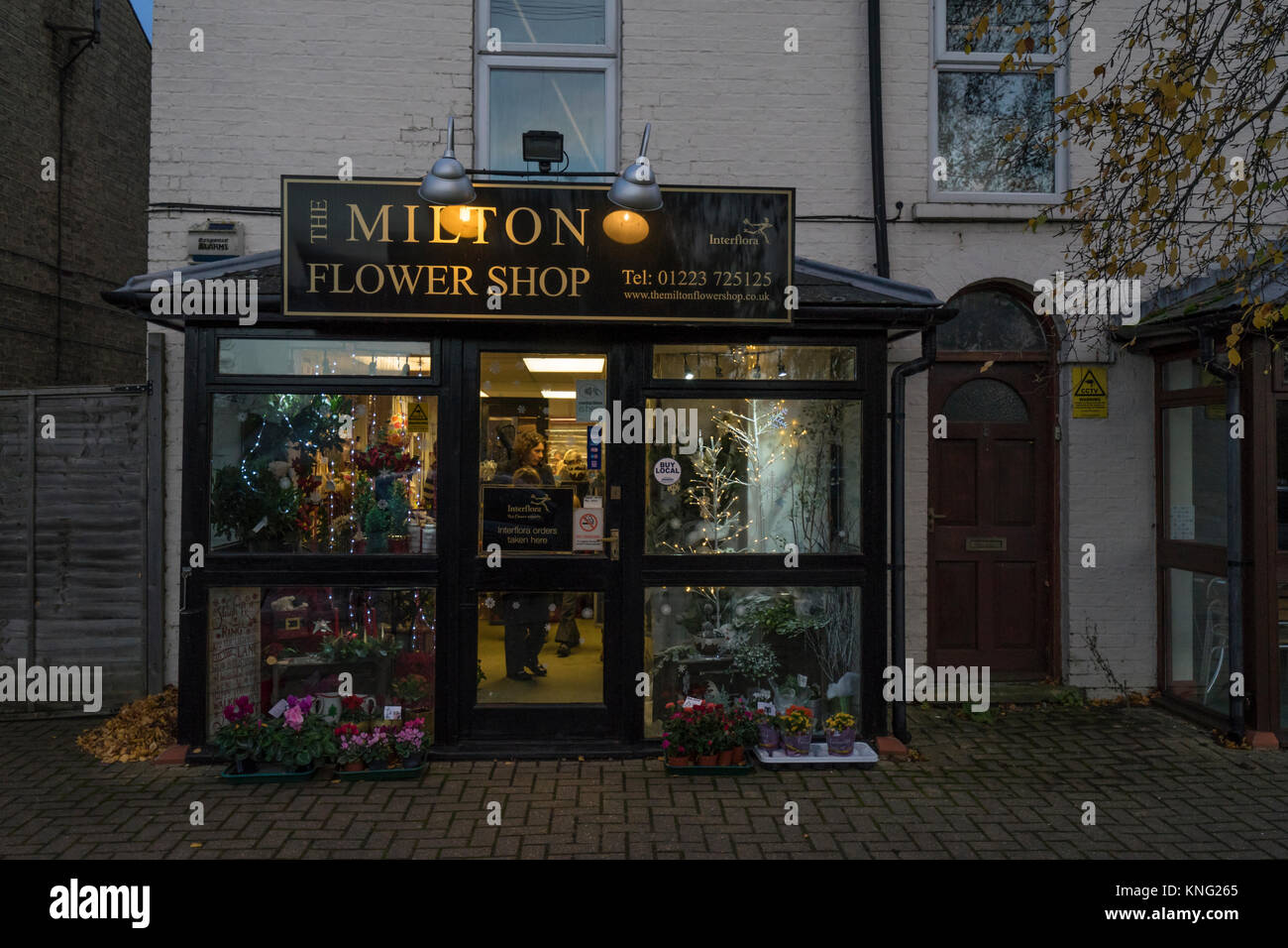 Milton flower shop at dusk on High street Stock Photo