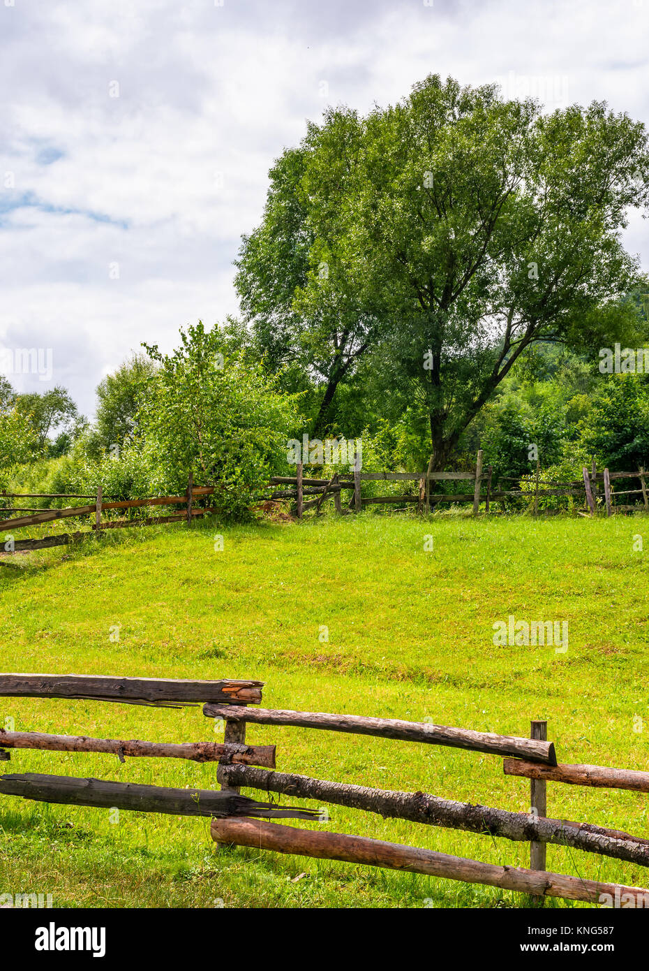 wooden fence on grassy rural field with tree. lovely springtime scenery ...