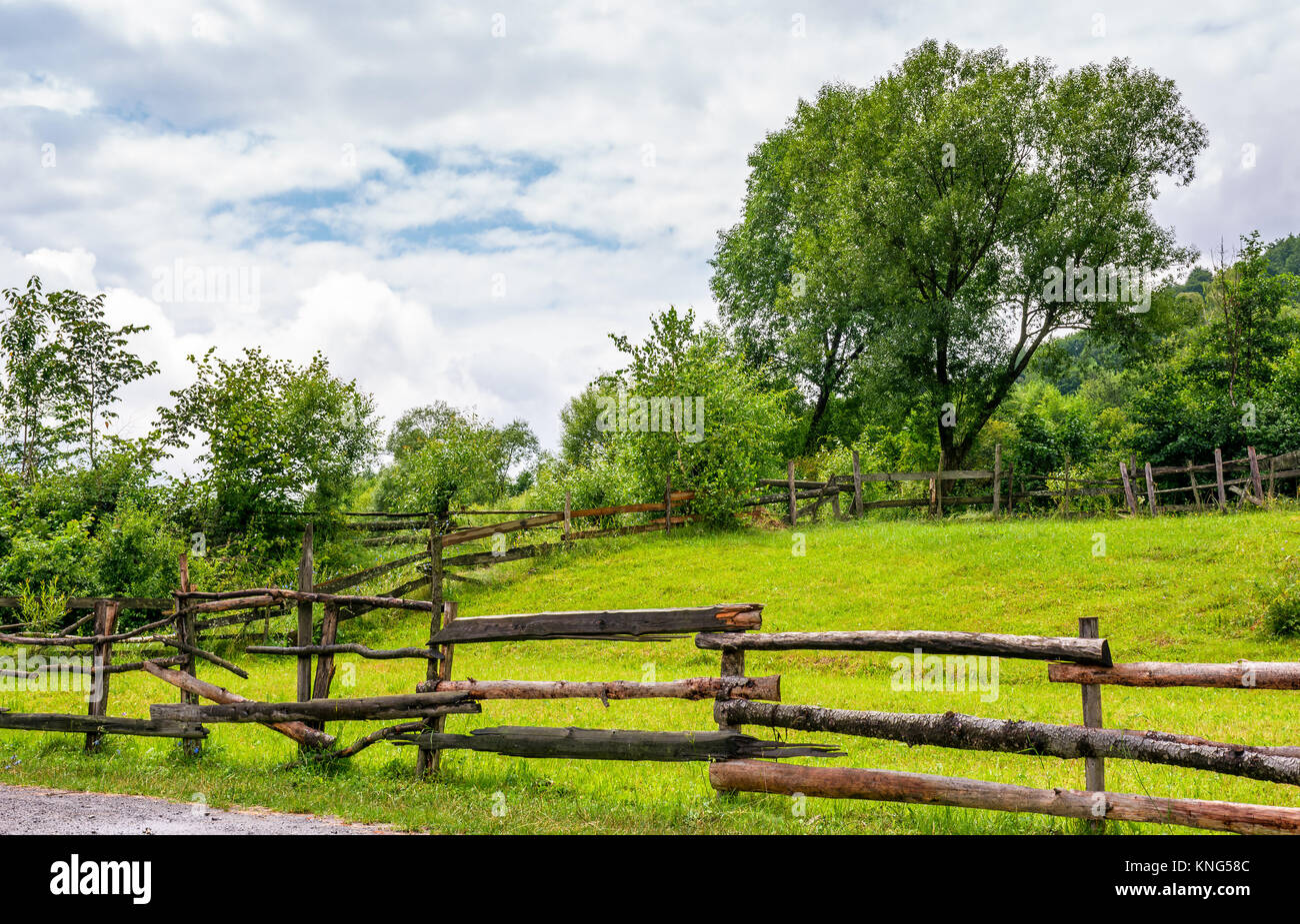 wooden fence on grassy rural field with tree. lovely springtime scenery ...
