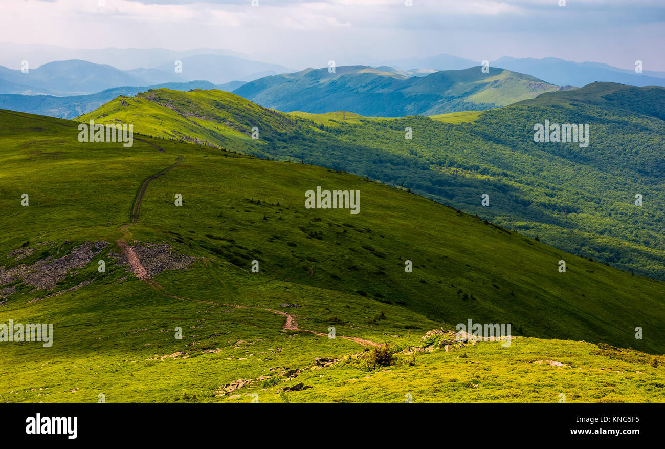 footpath along the Carpathian Dividing Ridge. gorgeous summer landscape ...