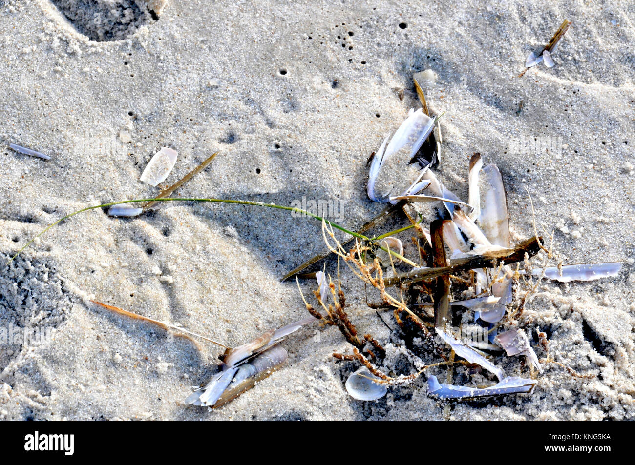 Sylt (Germany): Scene at the beach; Strand der Insel Sylt Stock Photo