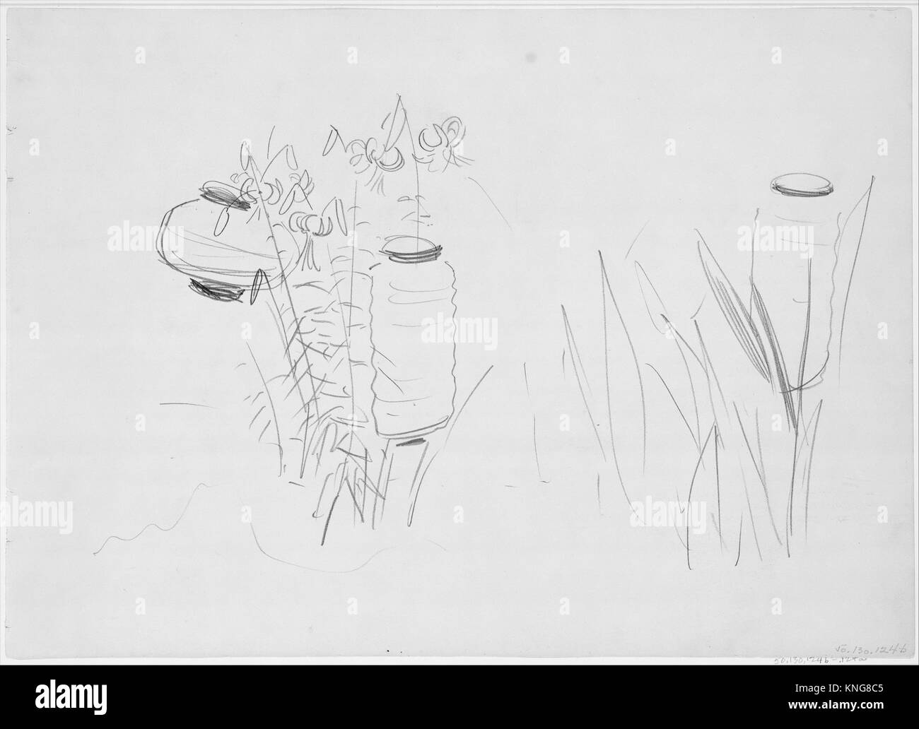 Japanese lilies Black and White Stock Photos & Images Alamy