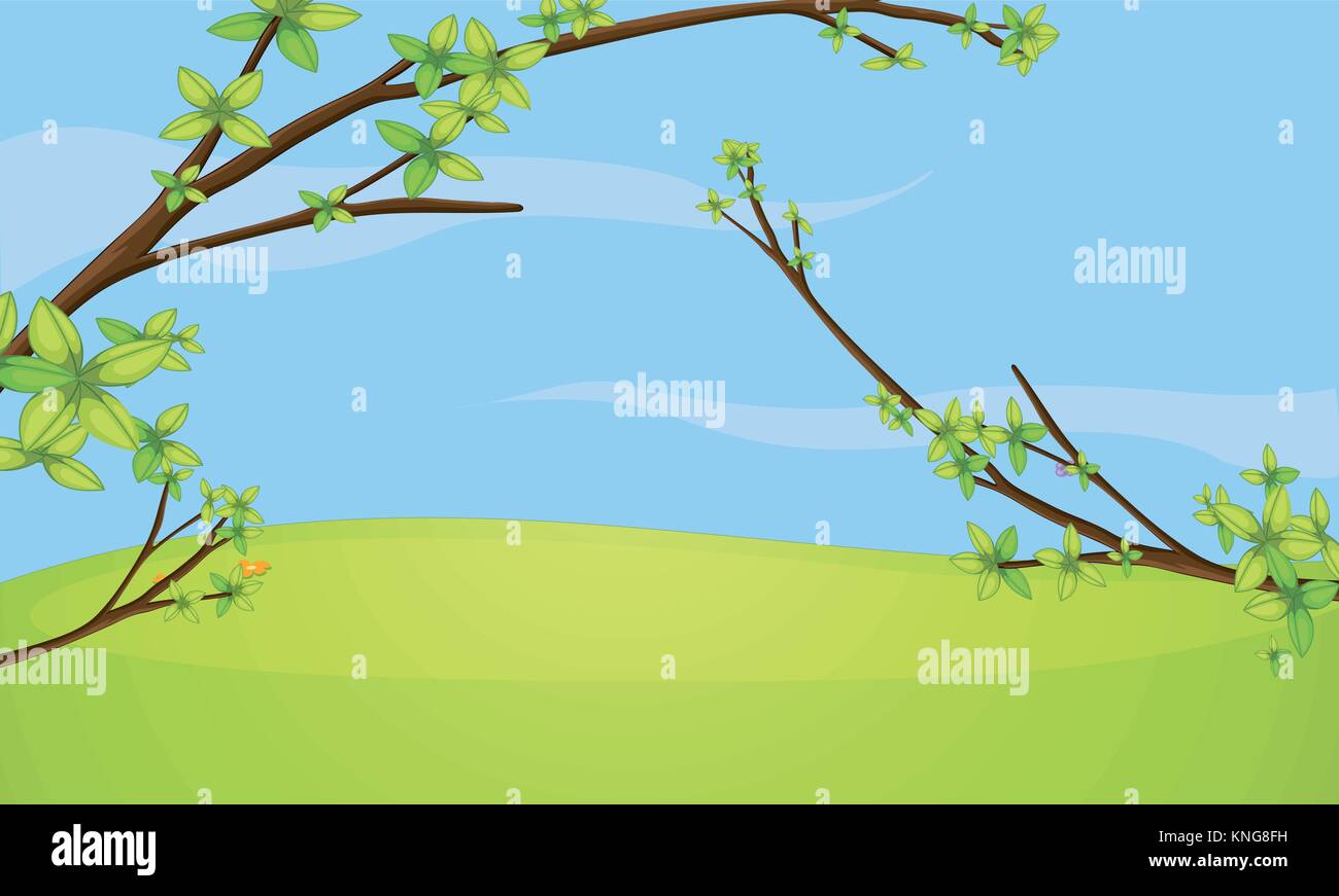 Illustration of the branches of a tree Stock Vector Image & Art - Alamy