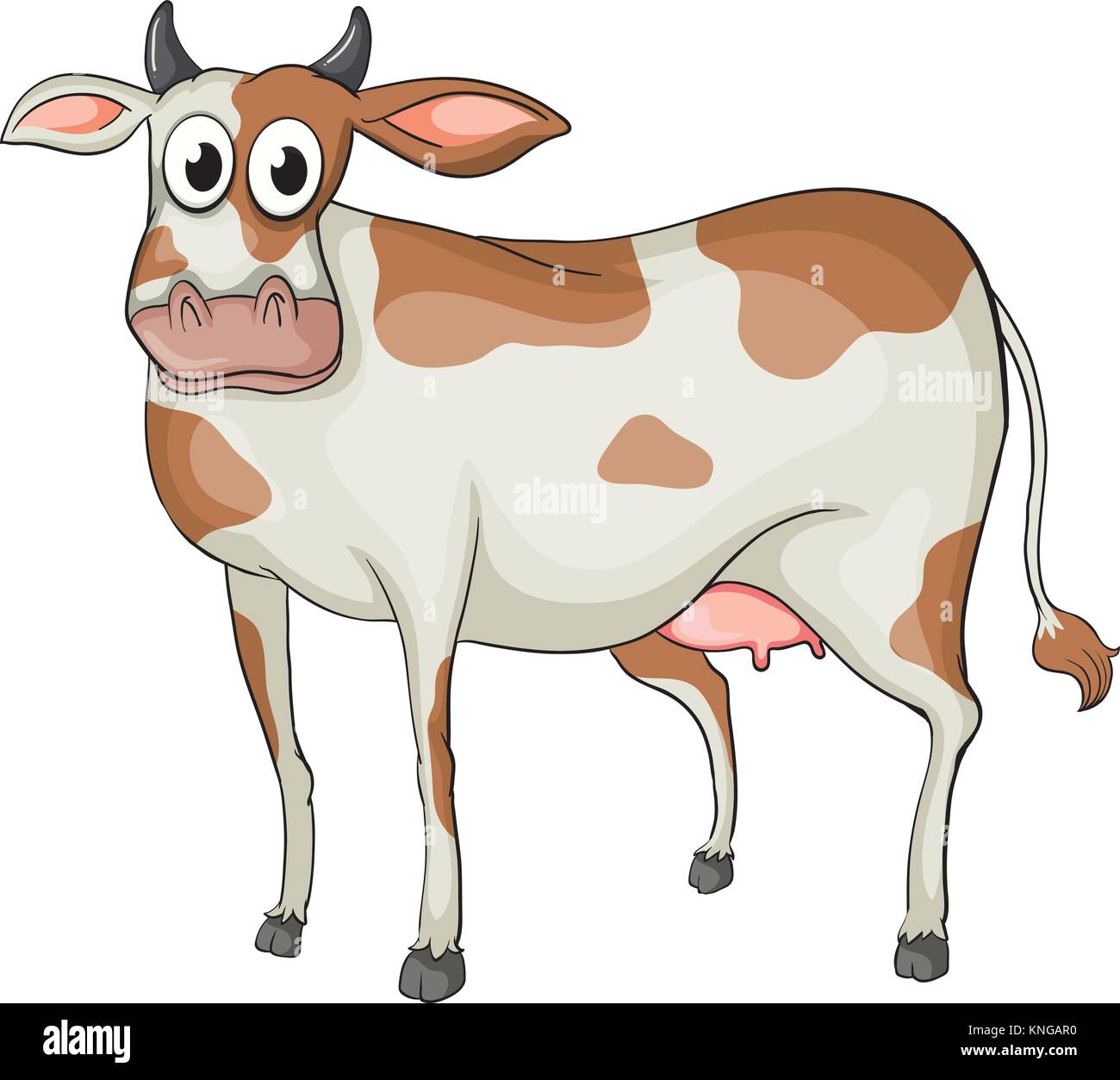 Корова на белом фоне