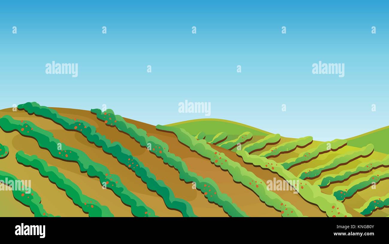 Illustration of a fertile land with growing plants Stock Vector Image