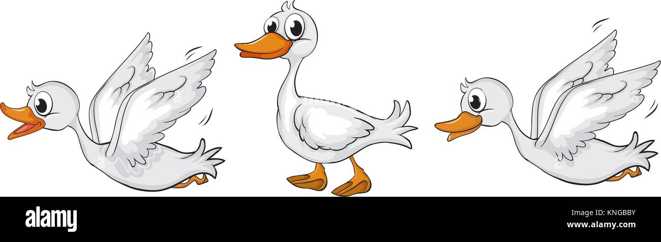 Illustration of ducks walking and flying on a white background Stock Vector