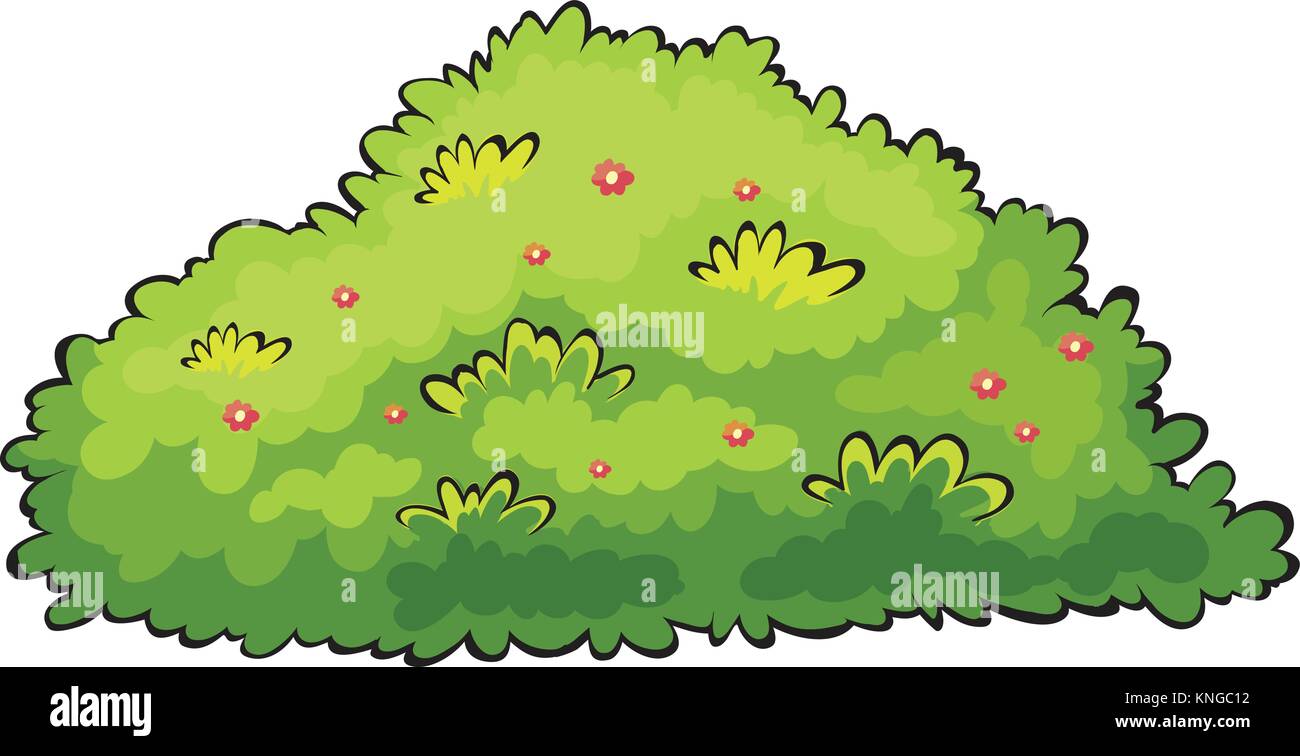 Hot Bush Pics