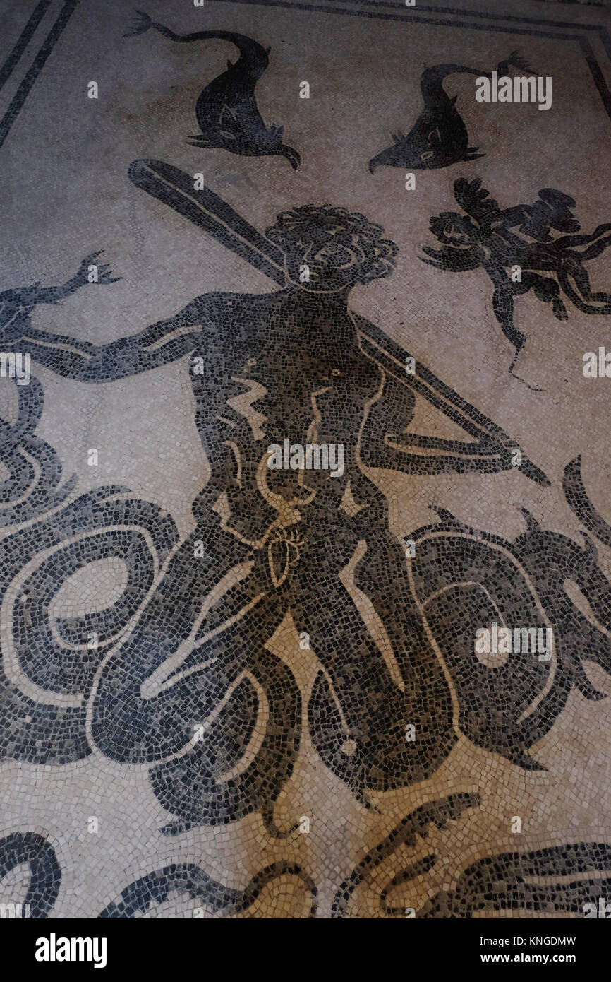 Floor mosaic at the baths at Herculaneum, depicting a mythical sea-god (Triton or Typhon?) and other sea creatures, Ercolano, Italy Stock Photo
