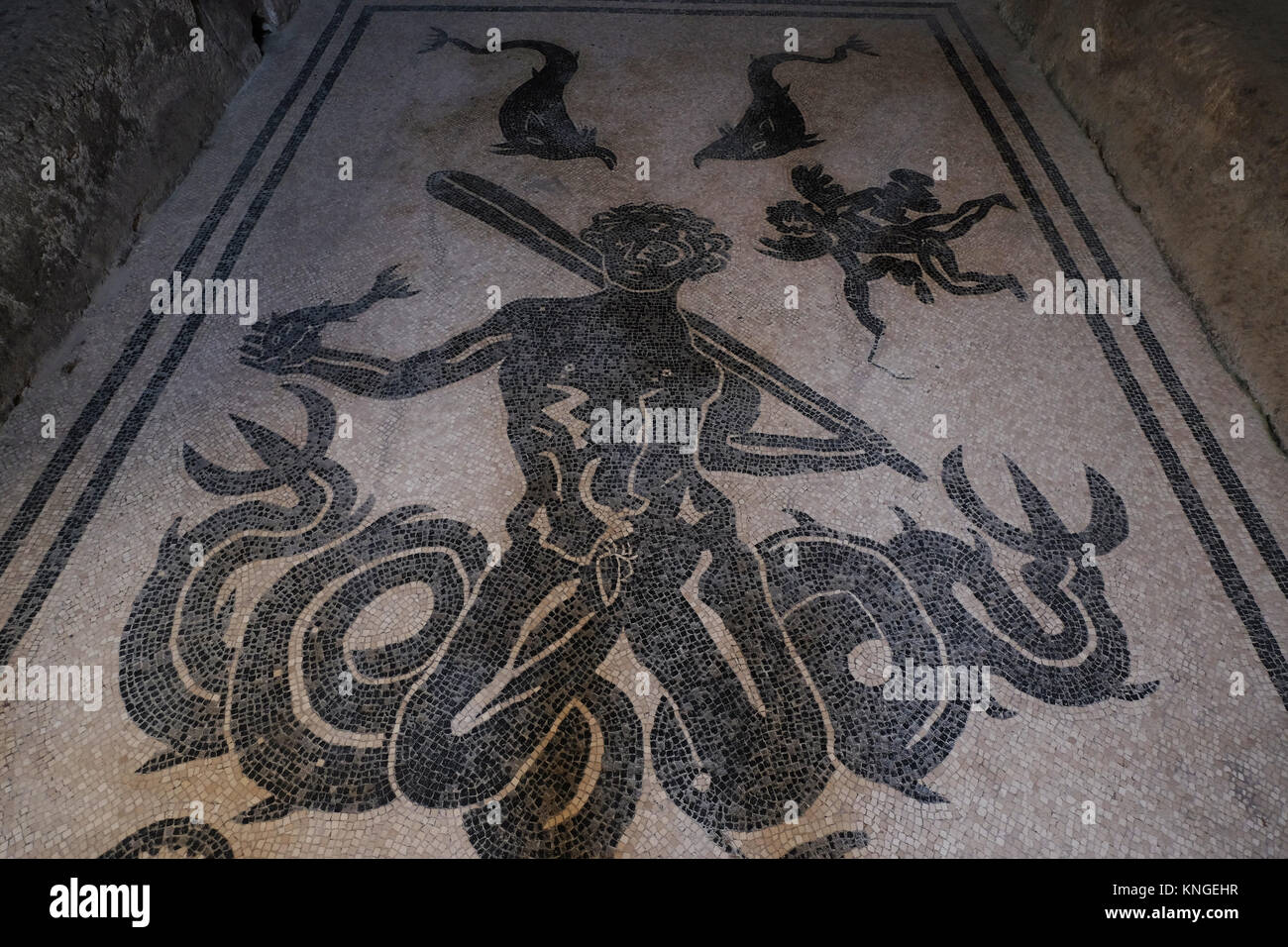 Floor mosaic at the baths at Herculaneum, depicting a mythical sea-god (Triton or Typhon?) and other sea creatures, Ercolano, Italy Stock Photo
