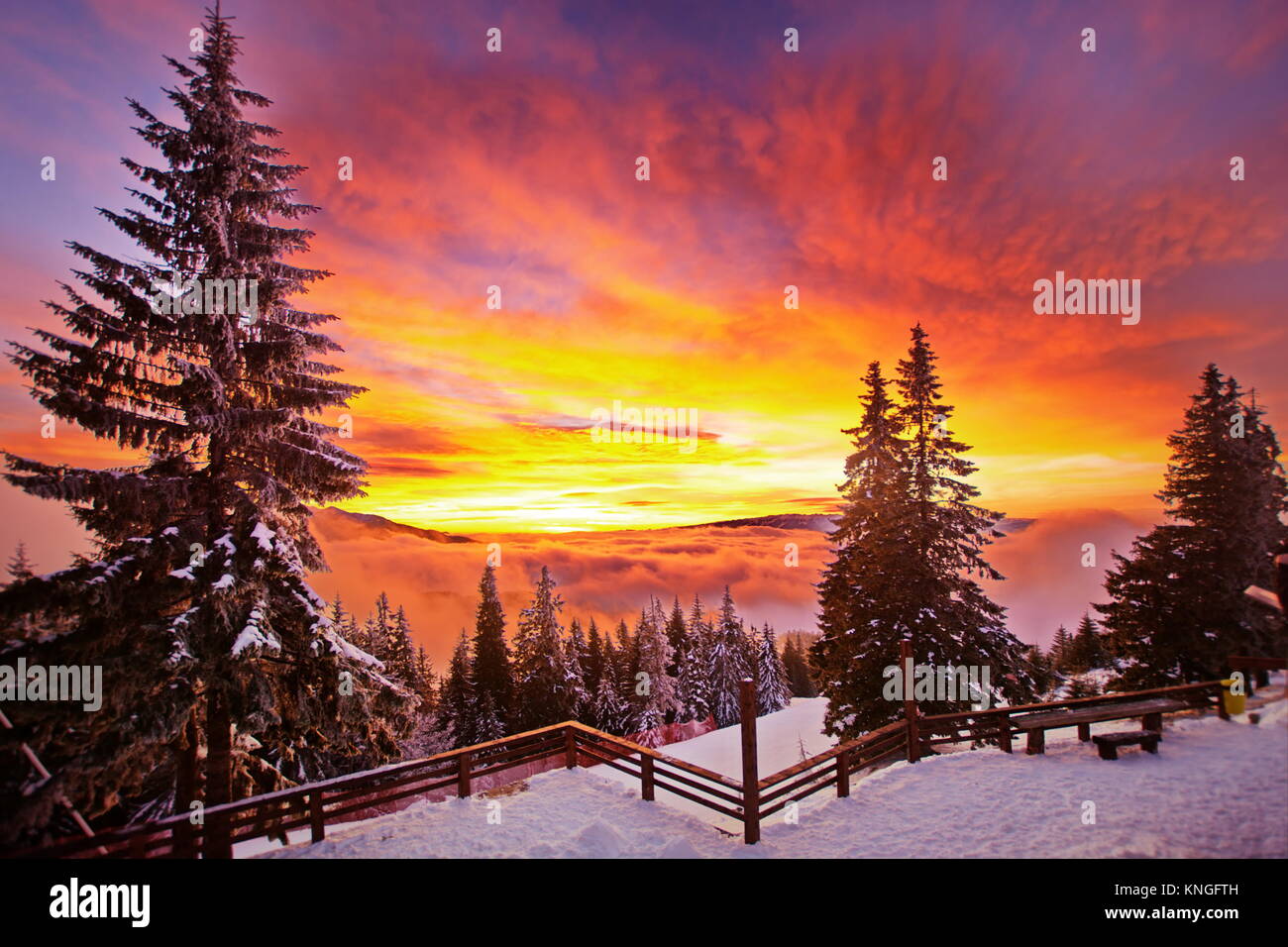 Partia Lupului ski slope in Poiana Brasov, Romania - stunning winter  landscape at sunset Stock Photo - Alamy