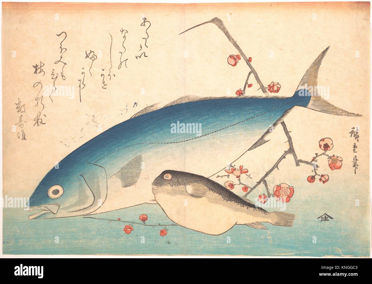 Fugu and Inada Fish, from the series Uozukushi (Every Variety of Fish). Artist: Utagawa Hiroshige (Japanese, Tokyo (Edo) 1797-1858 Tokyo (Edo)); Stock Photo