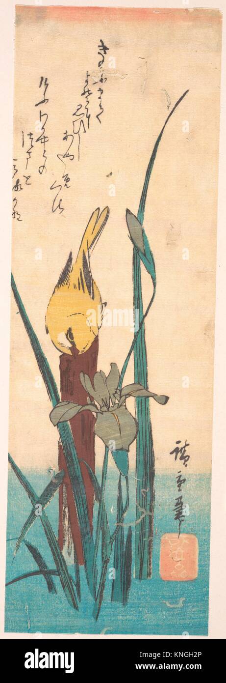 Bird and Iris. Artist: Utagawa Hiroshige (Japanese, Tokyo (Edo) 1797-1858 Tokyo (Edo)); Period: Edo period (1615-1868); Culture: Japan; Medium: Stock Photo