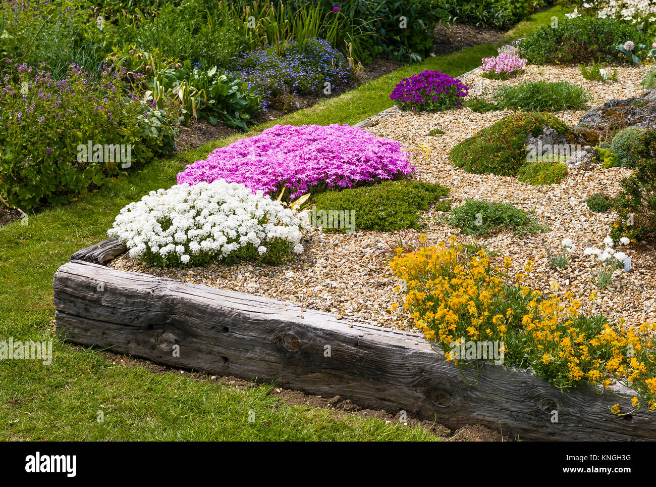Raised alpine bed in an English nursery garden to show visitors possible planting combinations Stock Photo