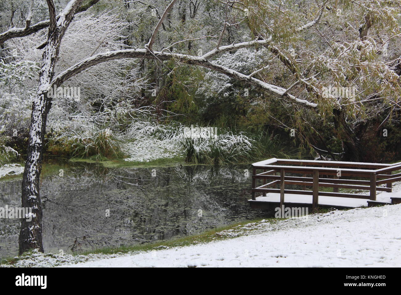Mission River in Winter Snow Refugio Texas Stock Photo Alamy