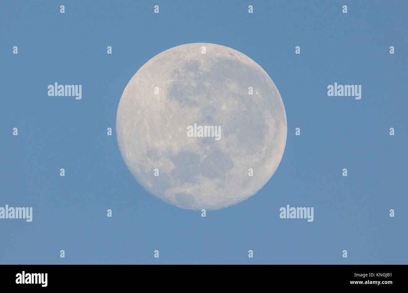 Full Moon Southern Hemisphere 2024 Janel