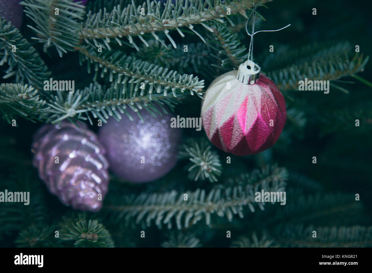 Holiday background with decorated Christmas tree. Purple and pink ...