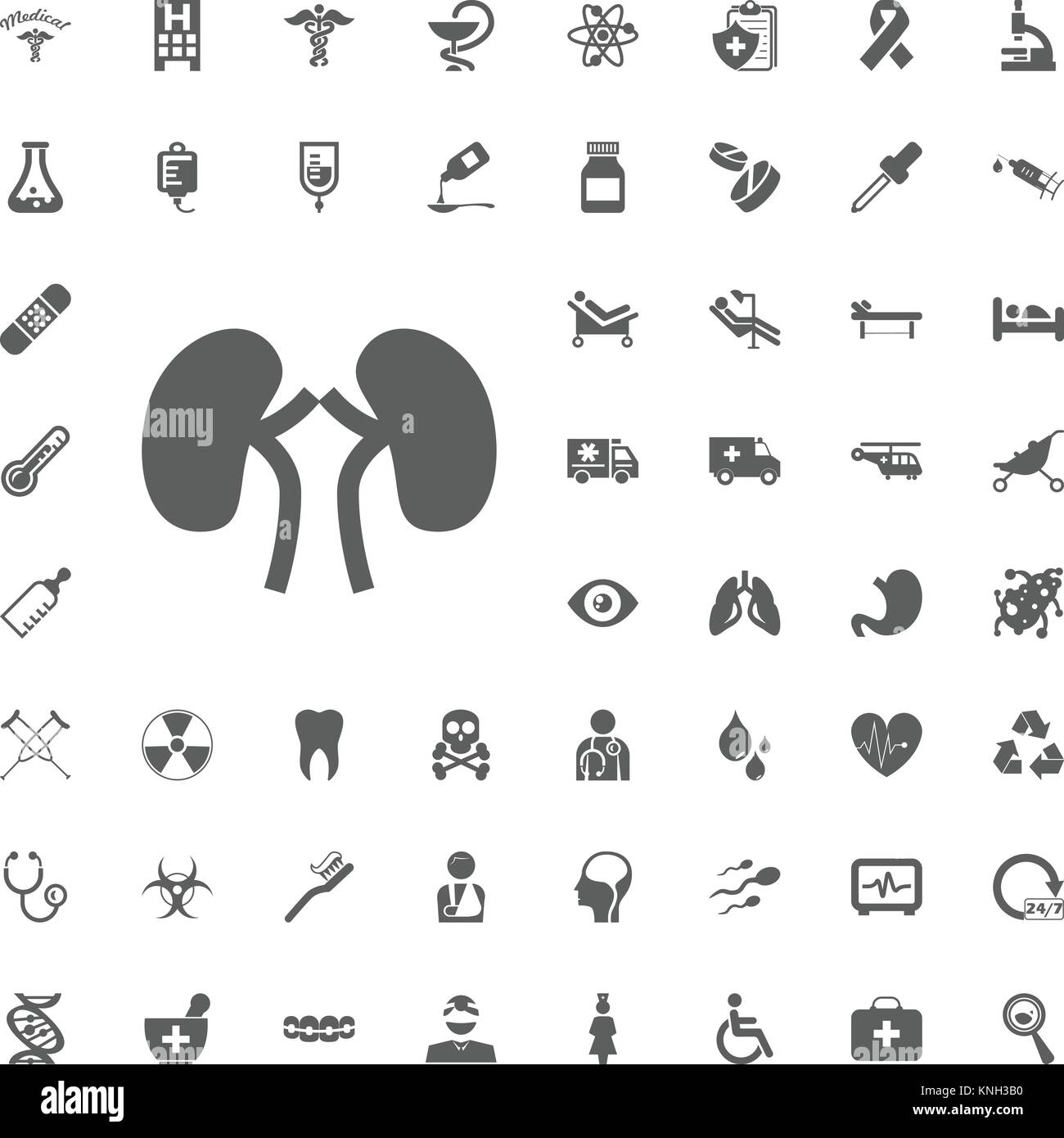 Kidneys icon sign set hi-res stock photography and images - Alamy