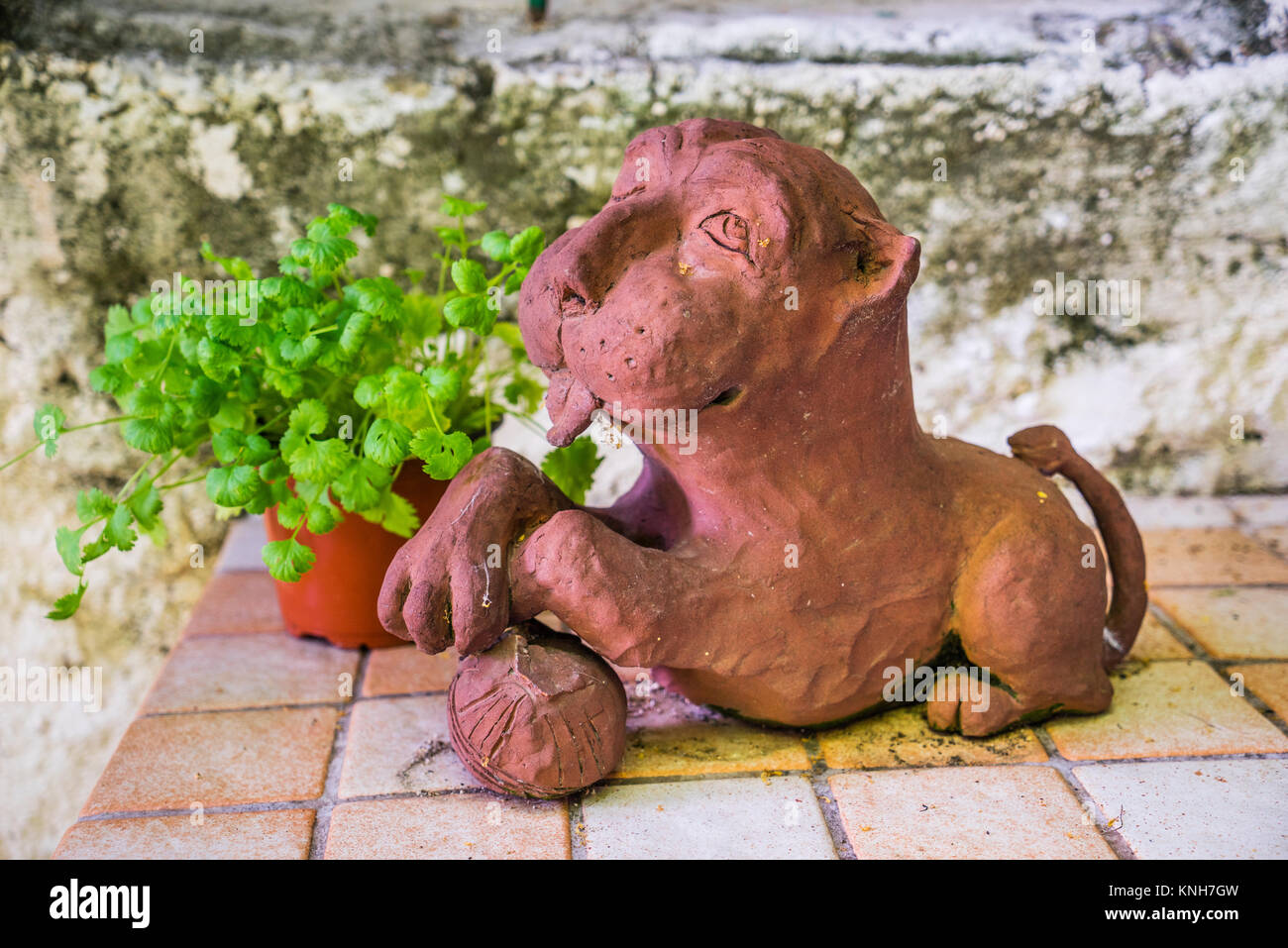 clay sculpture of a playful cat by Michiko Firch Stock Photo