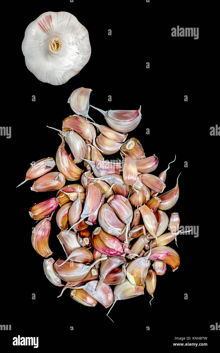 head and cloves of garlic on black background Stock Photo Alamy