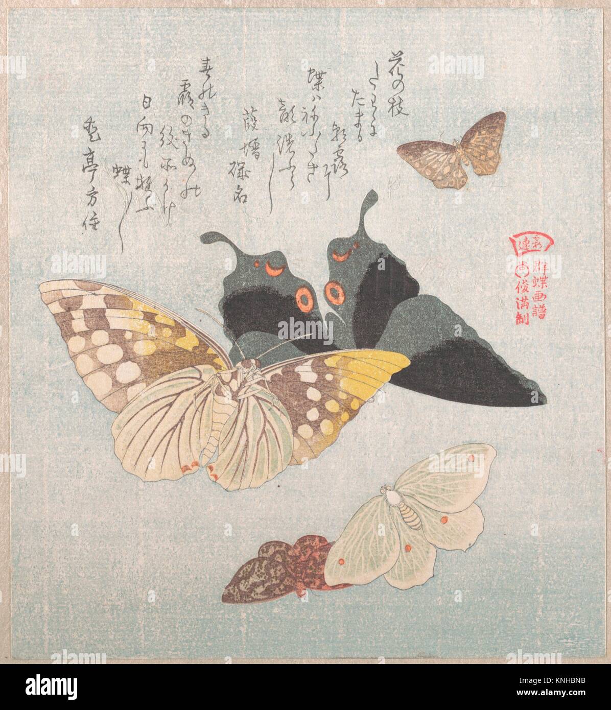 Various moths and butterflies. Artist Kubo Shunman (Japanese, 1757