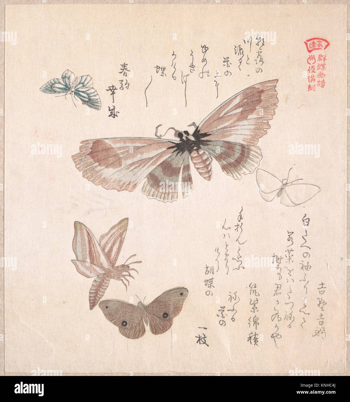 Various Moths and Butterflies. Artist Kubo Shunman (Japanese, 1757