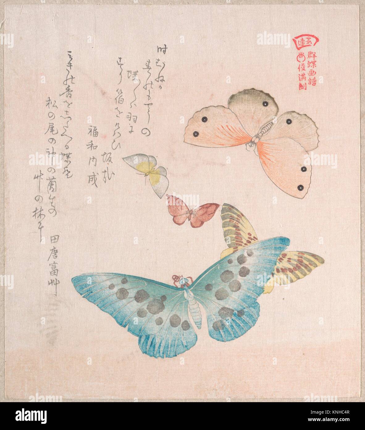 Various Moths and Butterflies. Artist Kubo Shunman (Japanese, 1757