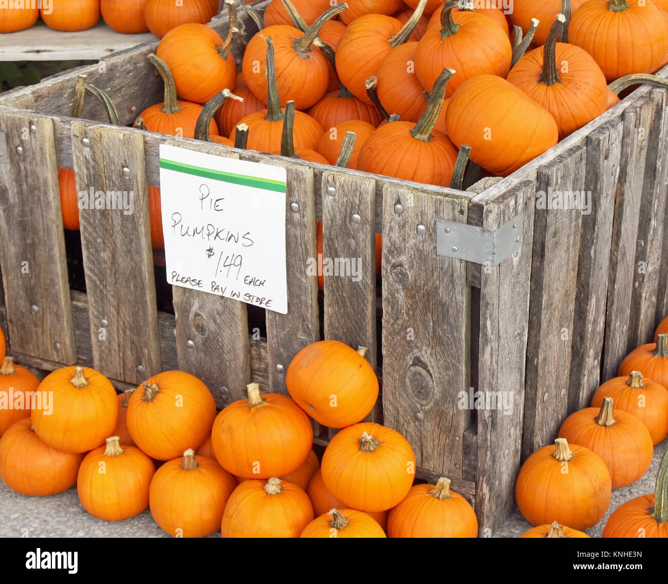 Pie Pumpkins for sale at a Farmer's Market Stock Photo - Alamy