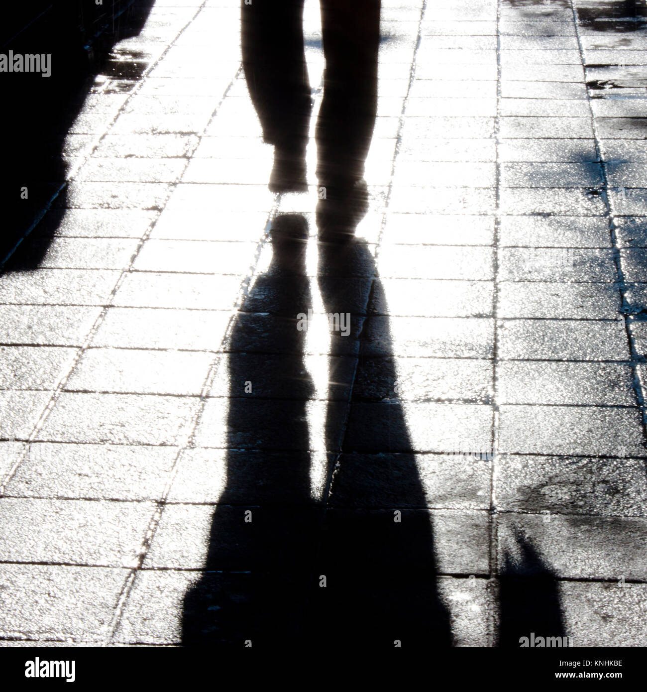Defocused silhouette and shadow of  one man's legs walking alone on wet city street with reflection and blur after the rain in black and white Stock Photo