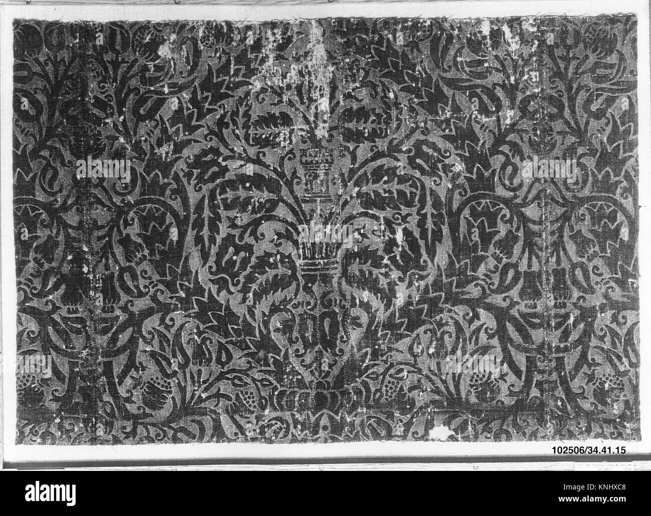 Fragment with Sempervivum tectorum motif MET 102506 223000 Stock Photo