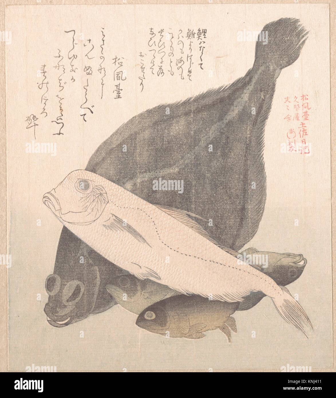 Flounder and Other Fishes. Artist Kubo Shunman (Japanese, 17571820