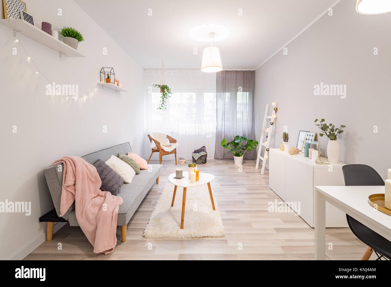 https://c8.alamy.com/comp/KNJ4AM/nordic-style-living-room-with-couch-cabinet-and-coffee-table-KNJ4AM.jpg